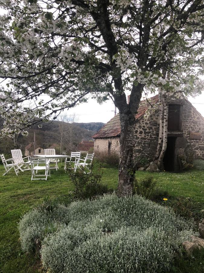 Maison D'Hotes Ourdeaux Et Gite Chez Rouchon Alleyrat  ภายนอก รูปภาพ
